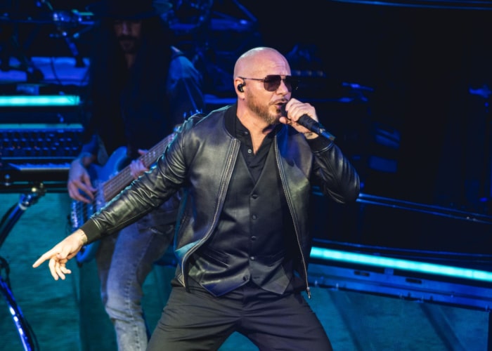 Pitbull TDGARDEN