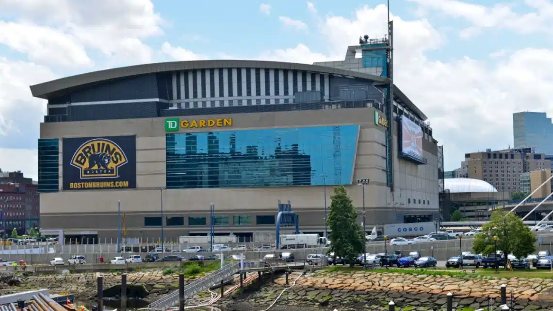 TD garden Surrounded by Cars