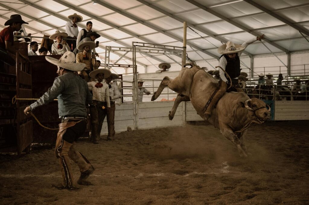 a bull jumping in the air the arena has gone through the Different changes to reach here