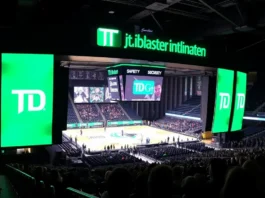 a basketball court with a crowd watching